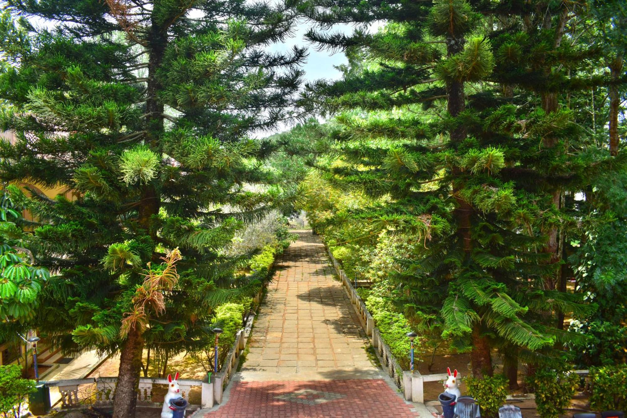 Jains Royal Palace Resorts Yelagiri Exterior photo